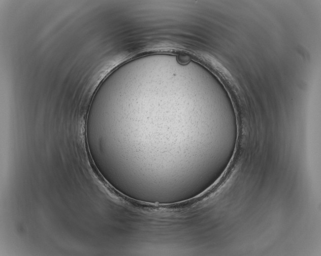 X0000115081329200911101454