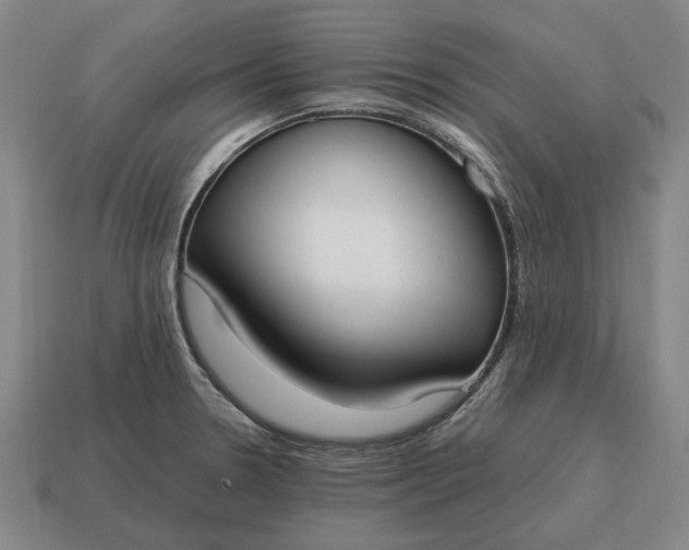 X0000115081330200911101455
