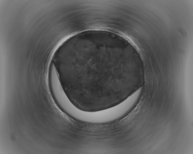 X0000115081331200911101455