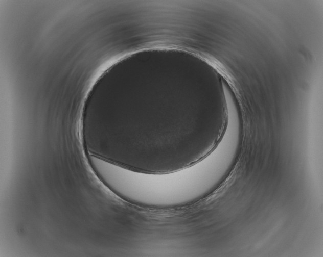X0000115081334200911101455