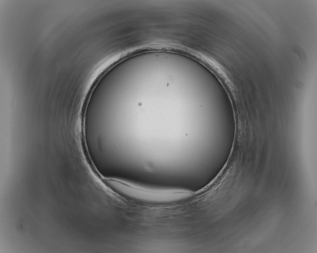 X0000115081335200911101455