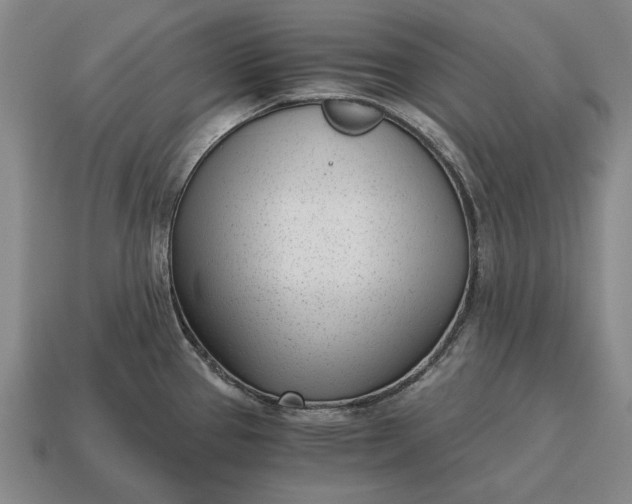 X0000115081337200911101455