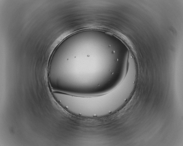 X0000115081338200911101455
