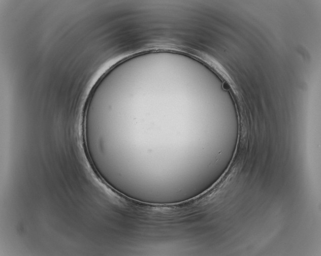 X0000115081339200911101455