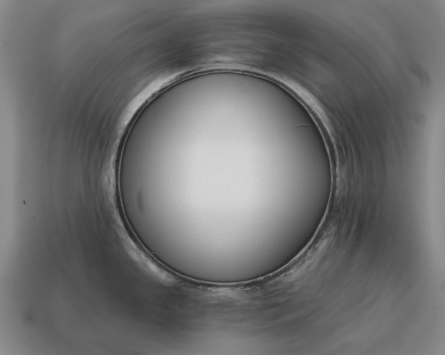 X0000115081341200911101455