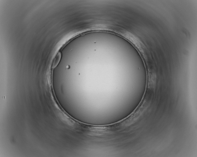 X0000115081342200911101455