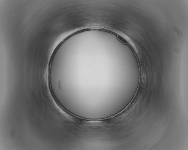 X0000115081343200911101455