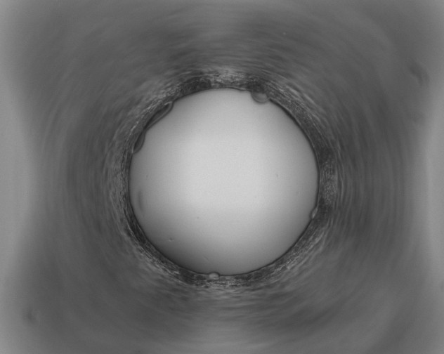 X0000115081345200911101454