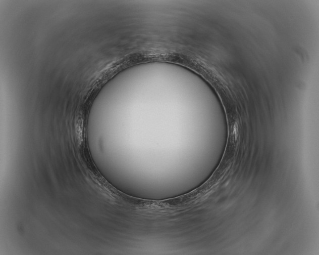 X0000115081348200911101454