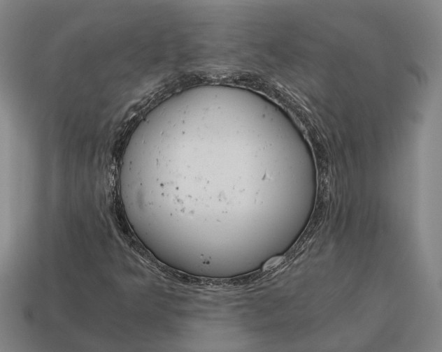 X0000115081349200911101454