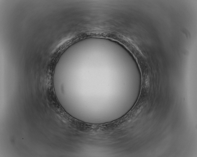 X0000115081350200911101454