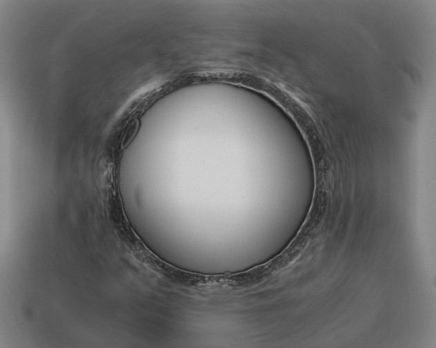 X0000115081351200911101454