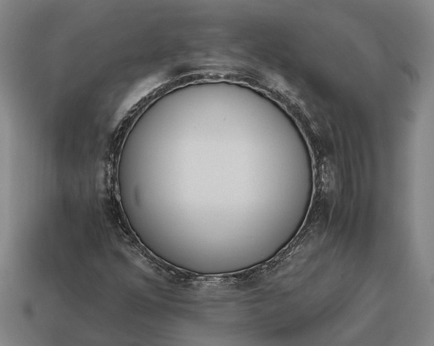 X0000115081352200911101454