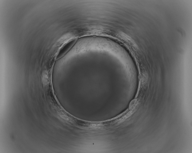 X0000115081353200911101454