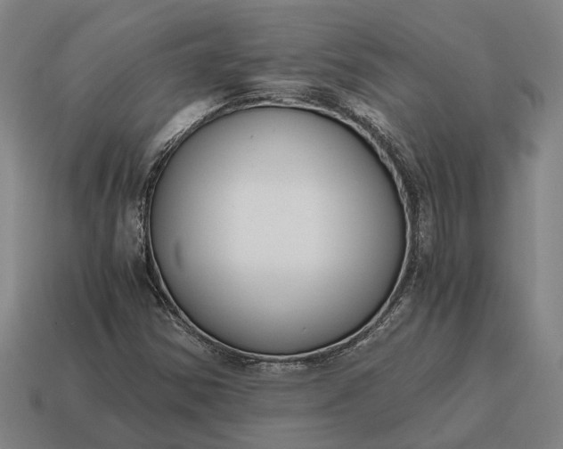 X0000115081354200911101454