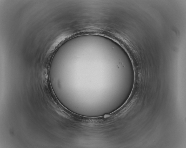 X0000115081355200911101454