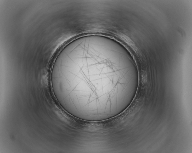 X0000115081356200911101454