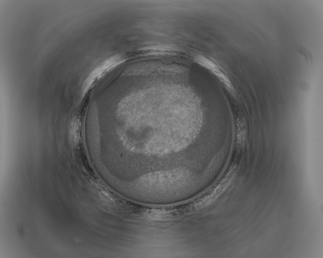 X0000115081357200911101454