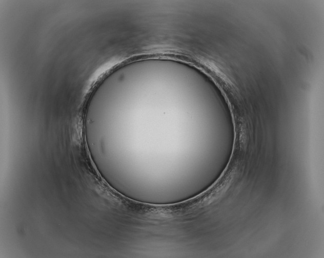 X0000115081358200911101454