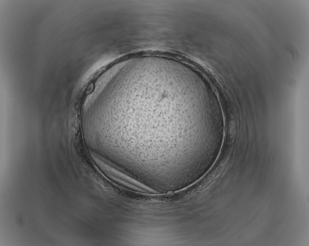 X0000115081359200911101454