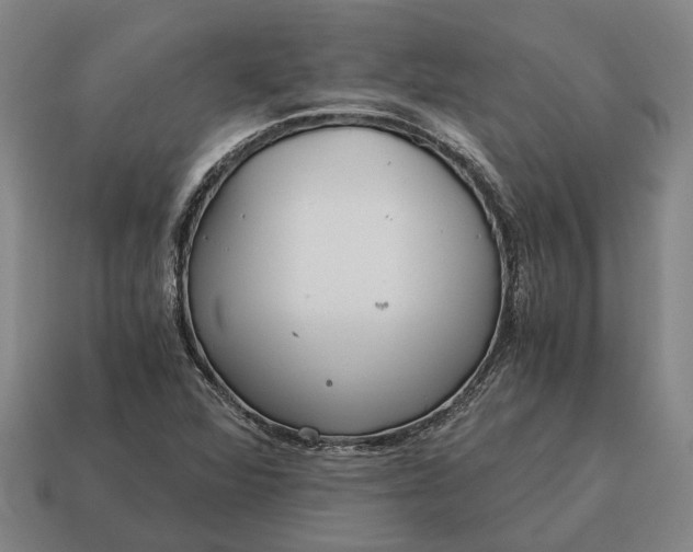 X0000115081360200911101454
