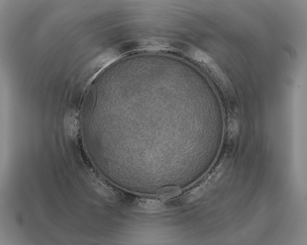 X0000115081361200911101454
