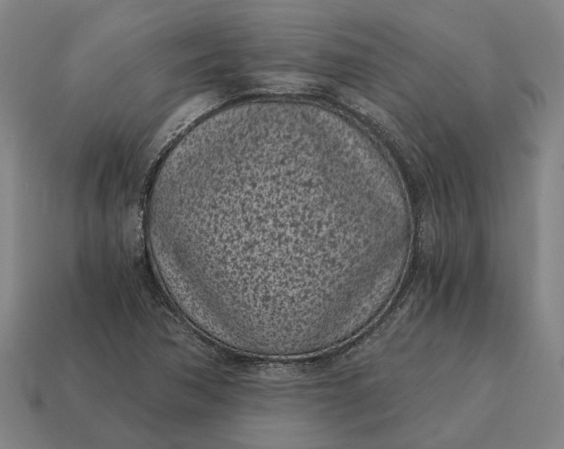 X0000115081362200911101454