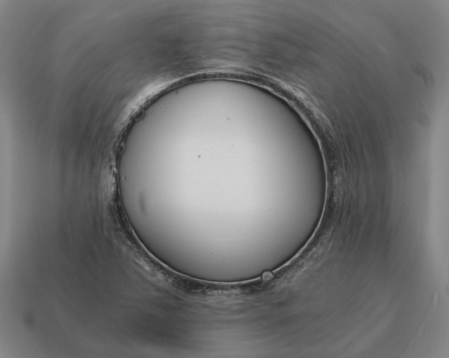 X0000115081363200911101454