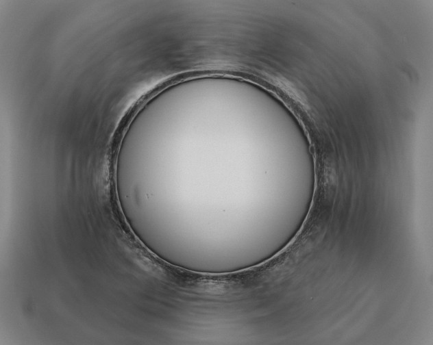 X0000115081364200911101454
