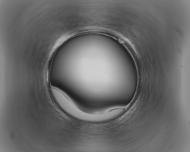 X0000115081365200911101453