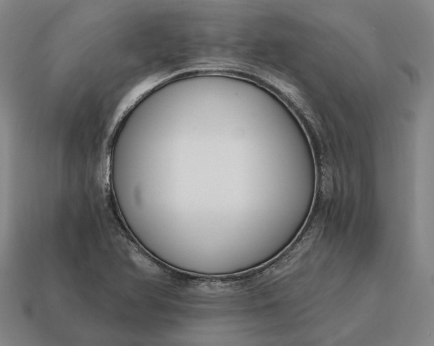 X0000115081366200911101453