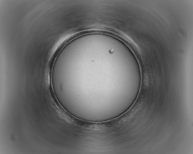 X0000115081368200911101453
