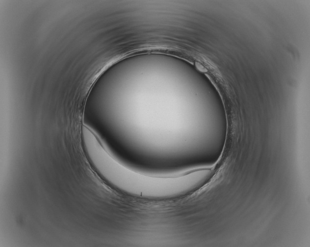 X0000115081369200911101453