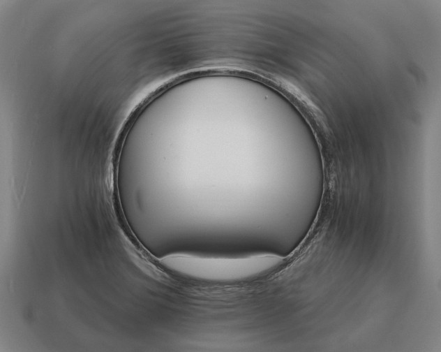 X0000115081372200911101453