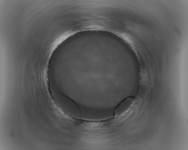 X0000115081373200911101453