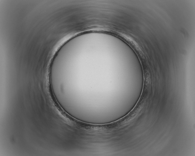 X0000115081375200911101453