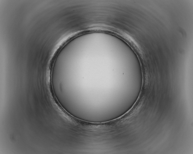 X0000115081376200911101453