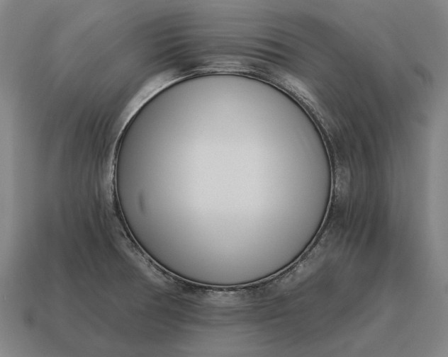 X0000115081378200911101453