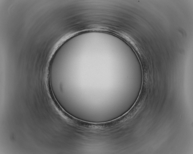 X0000115081379200911101453
