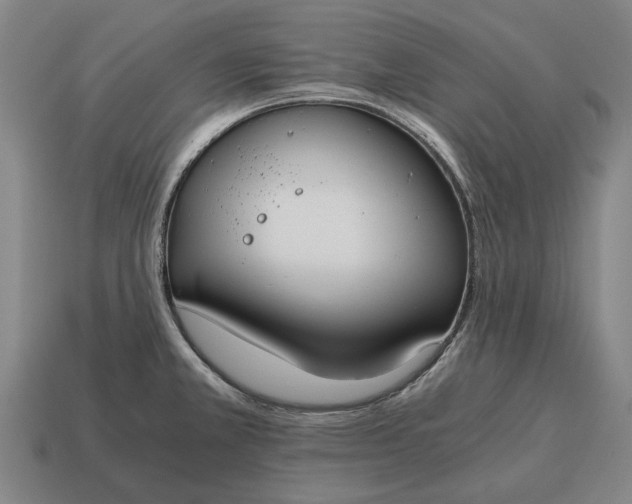 X0000115081381200911101453