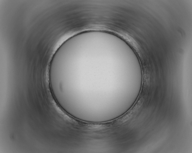 X0000115081382200911101453