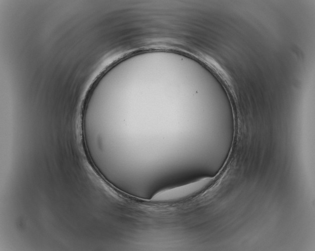 X0000115081384200911101453