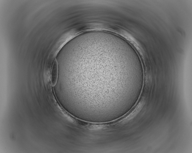X0000115081385200911101453