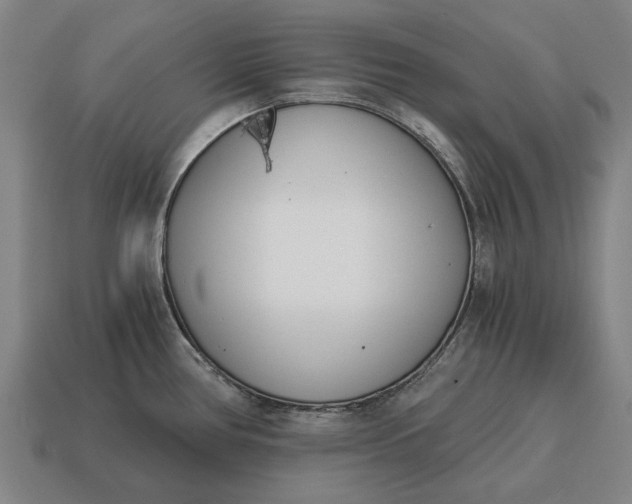 X0000115081386200911101453