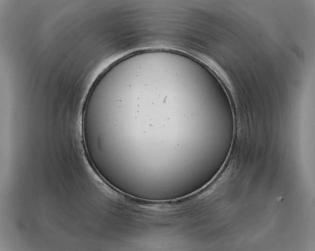 X0000115081388200911101453