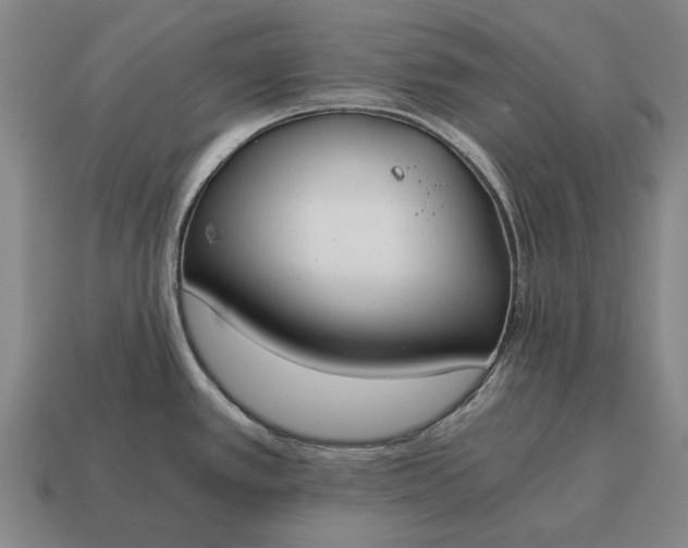 X0000115081389200911101453