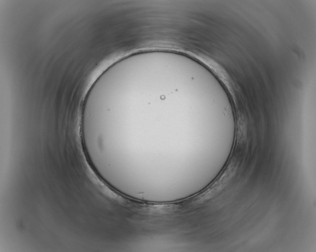 X0000115081390200911101453