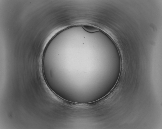 X0000115081392200911101453