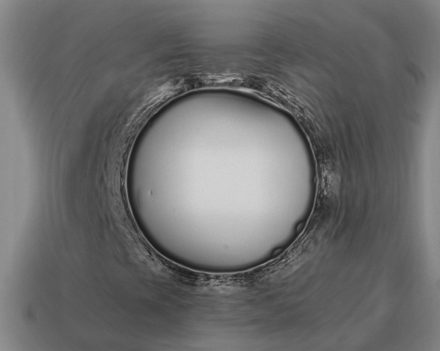 X0000115081393200911101452