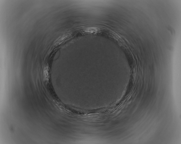 X0000115081394200911101452